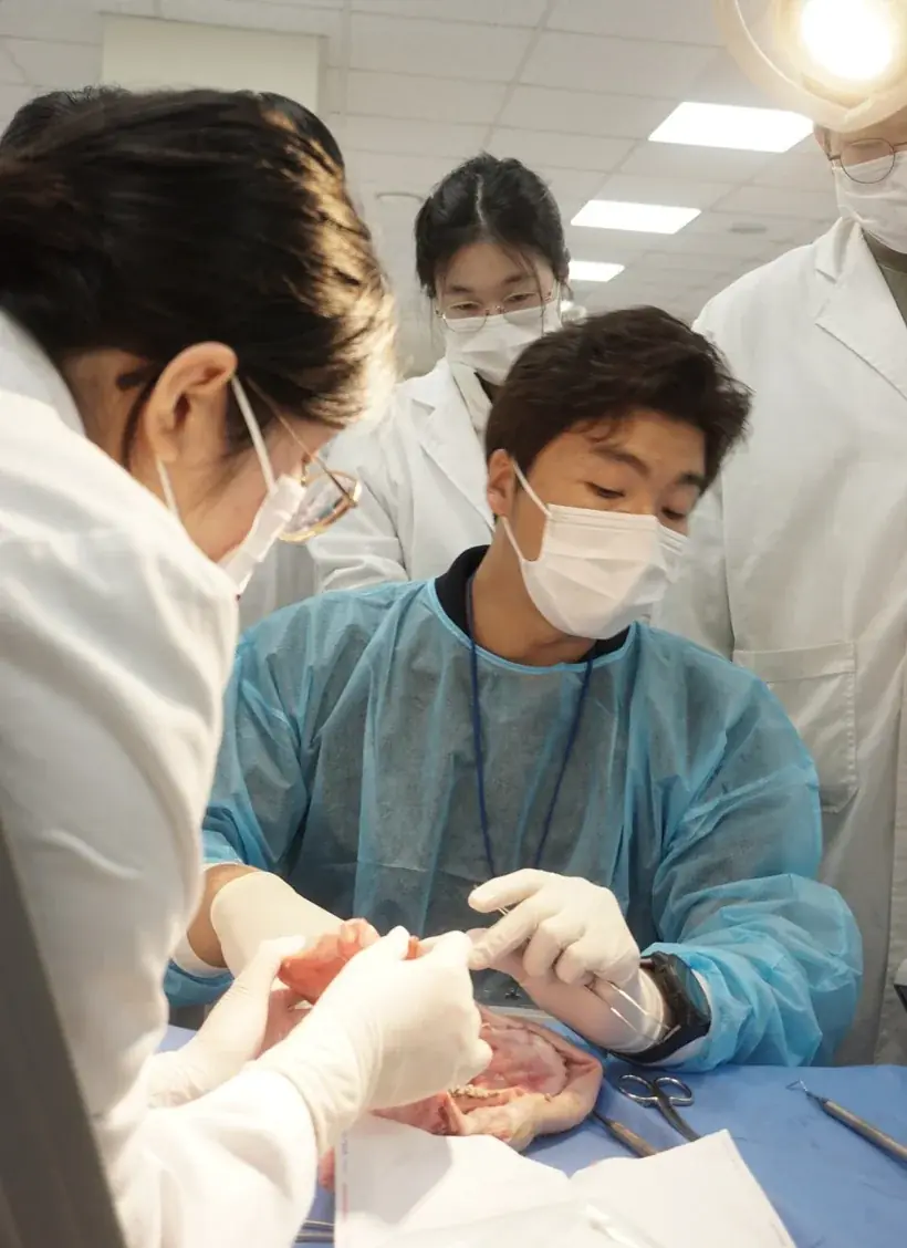 연세대학교 치과대학 실습에서 학생들에게 잇몸 수술을 지도하는 김승민 외래교수